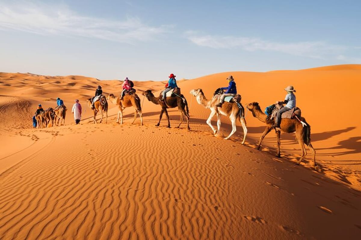 camel-trekking-in-abu-dhabi-with-shared-transfer-fun-and-more_1